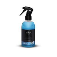 Deturner Ceramic Detailer Schnellpflege 250ml
