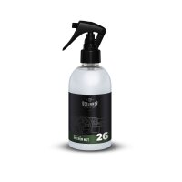 Deturner Interior MATT Innenraumpflege 250ml