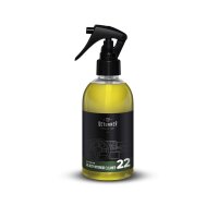 Deturner Ready Interior Cleaner Innenreiniger 250ml