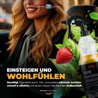 ADBL Innenraum Set Interior Cleaner 1L + Zubehör (4-teilig)