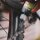Dr. Wack F100 eBike Öl 50ml