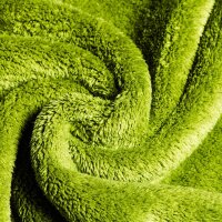 FX Protect Grassy Green Randloses Mikrofasertuch 500GSM 40×40