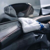 FX Protect Interior Scrub Mitt Reinigungshandschuh