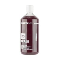 INNOVACAR DS Scale 2-in-1 Antikalk-Shampoo 1L