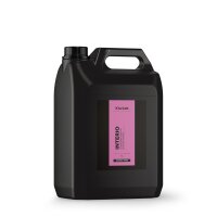 KiurLab INTERIO Innenraumreiniger 5L