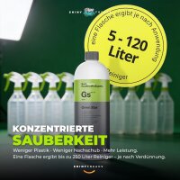 Koch Chemie Innenraum Set Green Star + Zubehör (5-teilig)