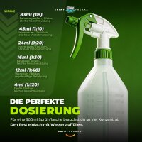 Koch Chemie Innenraum Set Green Star + Zubehör (5-teilig)