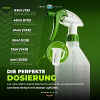 Koch Chemie Innenraum Set Green Star + Zubehör (7-teilig)