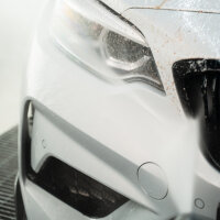 Maniac Line Insect Remover Insektenentferner 500ml