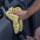 Meguiars Paint, Dash & Glass Inside & Out Detailer Allzweckreiniger 710ml