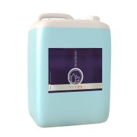 Nanolex Final Finish Quick Detailer 5L
