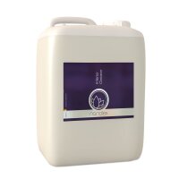 Nanolex Interior Cleaner gebrauchsfertig 5L