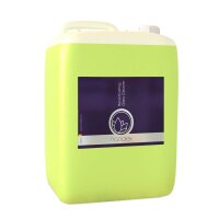 Nanolex Reactivating Glass Cleaner 5L