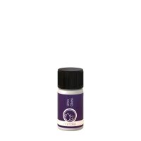 Nanolex Ultra Glass Glasversiegelung 30ml