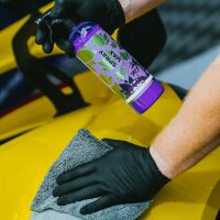 Nanolex WCWC Spray Wax Sprühversiegelung 750ml