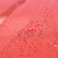 Maniac Line Ceramic Ultra Speed Wax Versiegelung 500ml