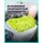Snow Foam Set Sonax - ActiFoam inkl. Foamer
