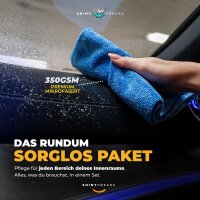 SONAX Innenraum-Set XTREME AutoInnenReiniger 500ml + Zubehör (4-teilig)