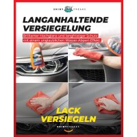 SONAX Wascheimer-Set 13L GlanzShampoo & FelgenBeast + Zubehör (11-teilig)