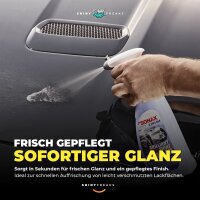 SONAX XTREME Versiegelungsset BrilliantShine Detailer + Tuch (2-teilig)