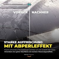 SONAX XTREME Versiegelungsset BrilliantShine Detailer + Tuch (2-teilig)