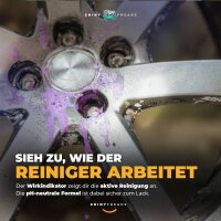 TUGA Chemie Felgenreiniger Set Alu-Teufel Spezial 500ml + Felgen Detailer + Zubehör (5-teilig)